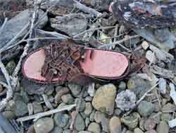 chaussure